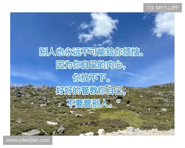 心竞技：不止于胜负，更在于内心的成长